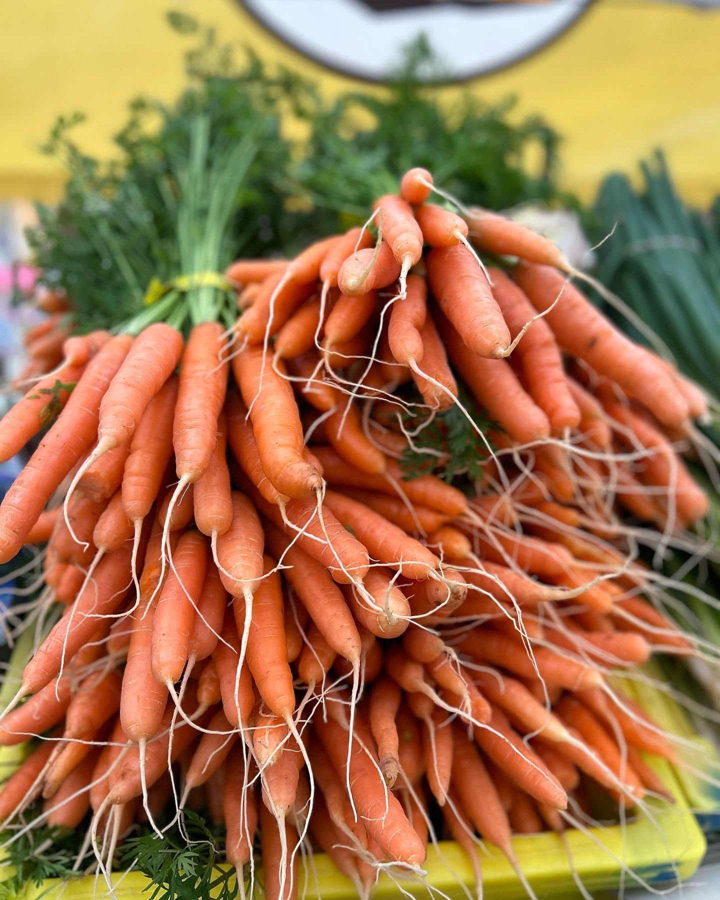 467400616 18037345757253604 4849798465179033807 n