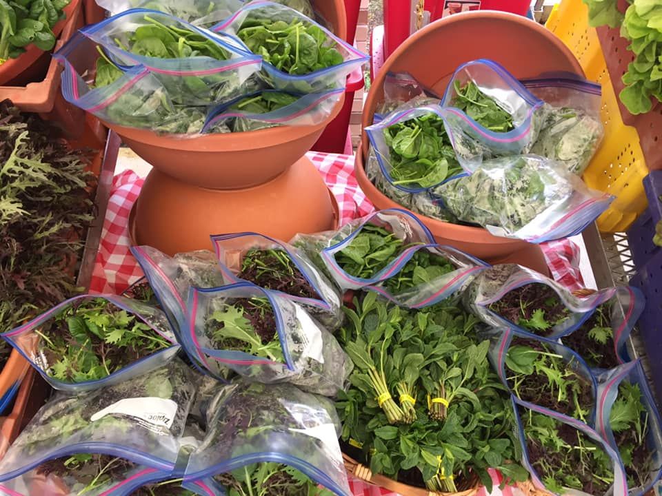 SLD2 Fresh Vegetables (2)