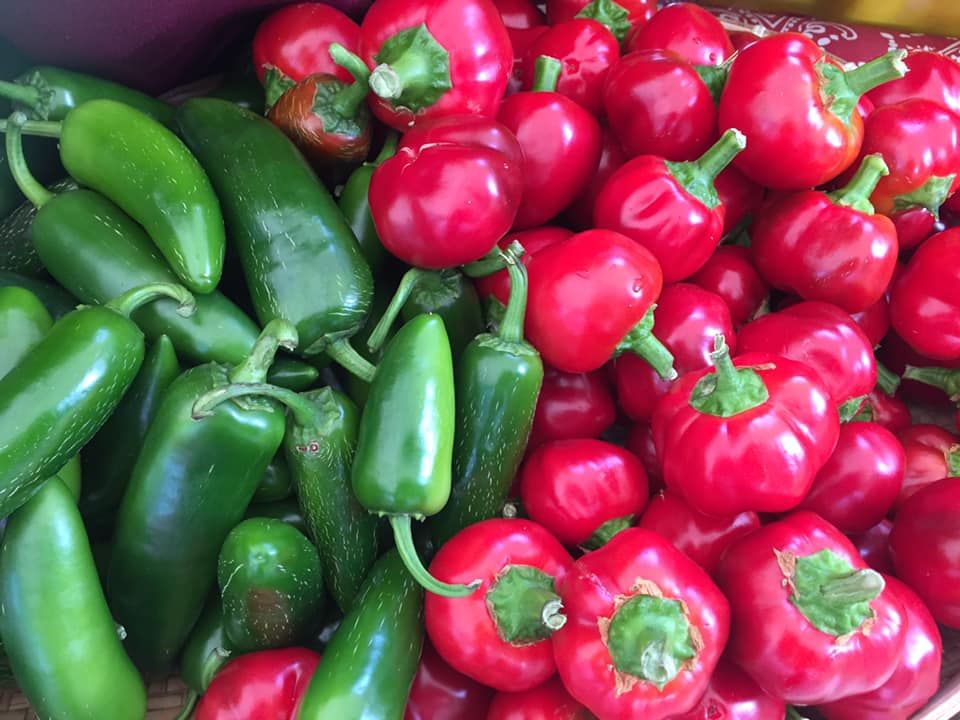 SVC1 Organic Vegetables (2)