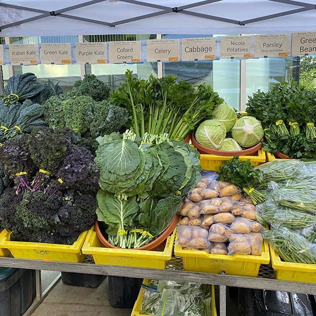 SLD2 Fresh Vegetables